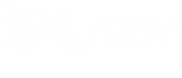 aquila websites designs header logo white mini2