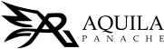 aquila websites designs header logo